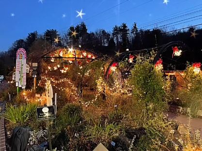 Flowering Bridge Lit Up for the Holidays