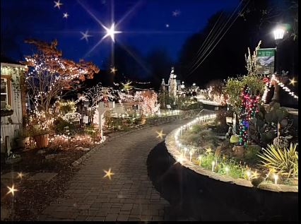 Flowering Bridge Lit Up for the Holidays