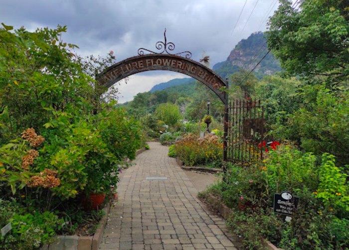 Flowering Bridge Entrance by Maruchi CS/Google