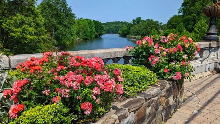 Flowering Bridge Overlooking the Rocky Broad River by Christine-Google