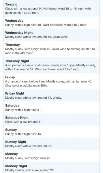 Forecast 1/16/24