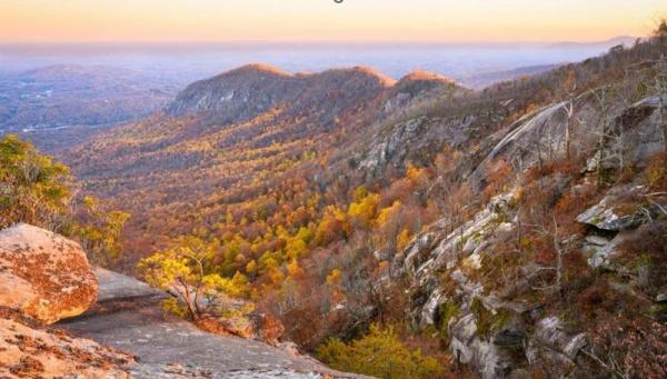 Weed Patch View byGordonTutor