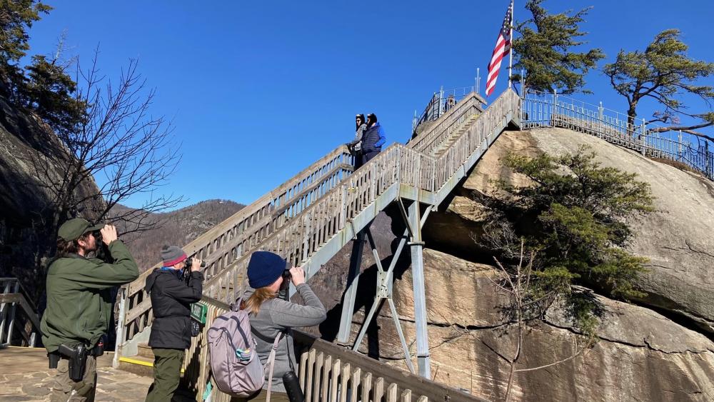 Christmas Bird Count at Chimney Rock 96 Species Identified Lake